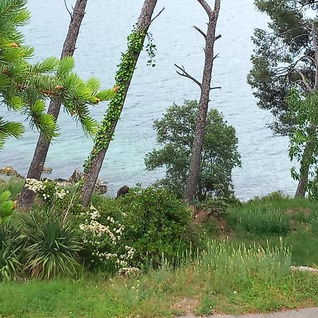 Chambre D Hote Les Heures Claires Istres Bagian luar foto