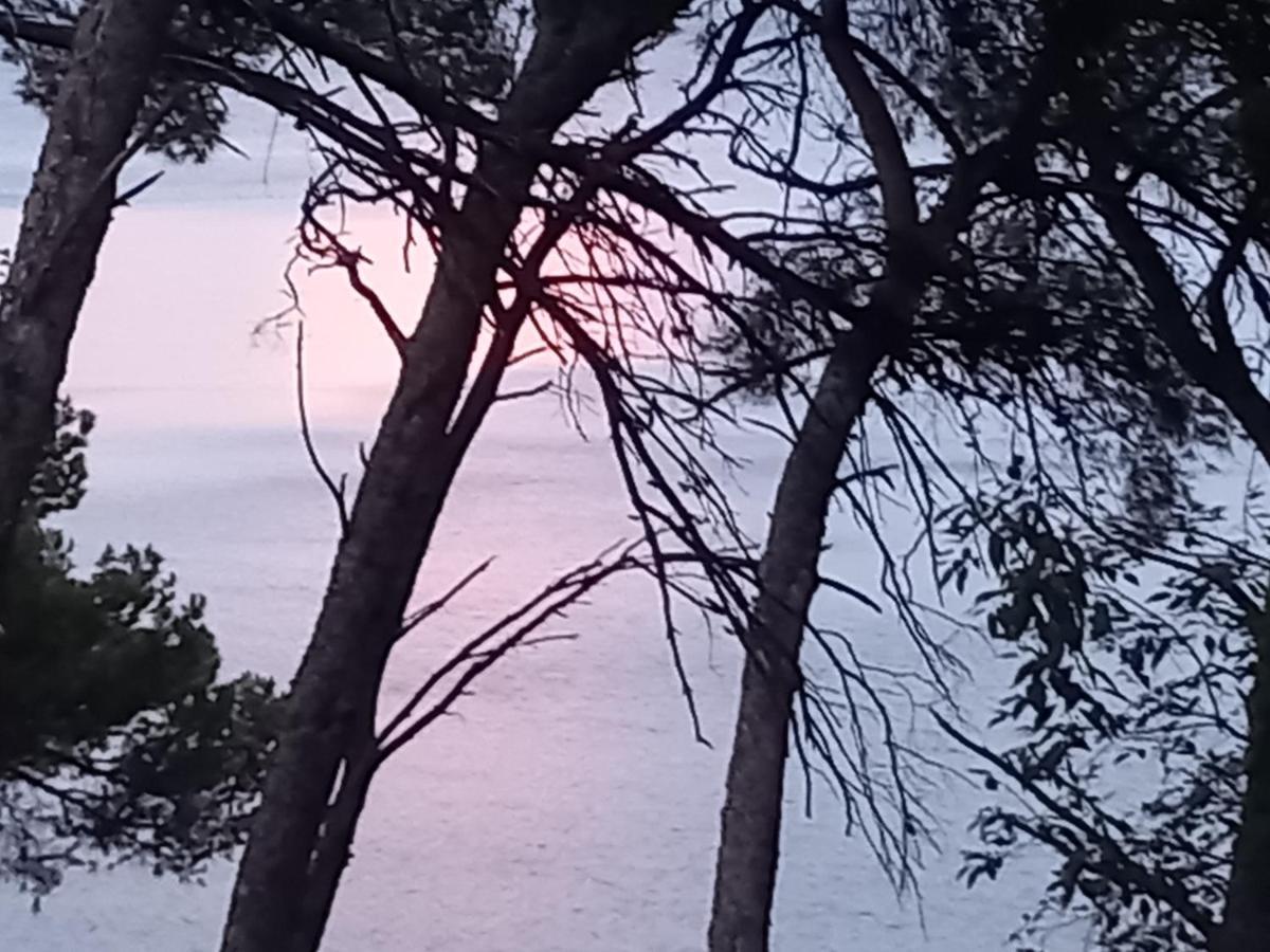 Chambre D Hote Les Heures Claires Istres Bagian luar foto